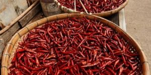 Dried Red Chili