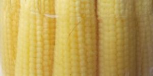 Canned Baby Corn