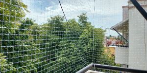 Bird Protection Netting