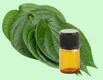 Betel Leaf Oil