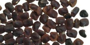 Organic aparajita seeds /clitoria ternatae (botanical name)