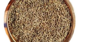 Brown Cumin Seeds
