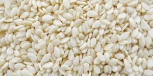Hulled White Sesame Seeds
