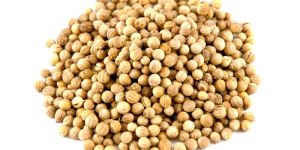 Natural Coriander Seeds