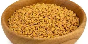 Natural Fenugreek Seeds