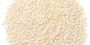 Natural White Sesame Seeds