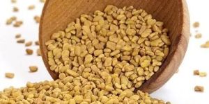 Yellow Fenugreek Seeds