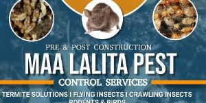 Pest Control Services