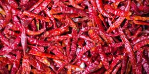 Dry Red Chili