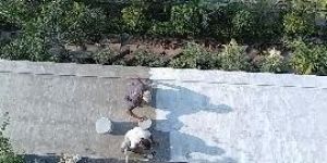 All Types Waterproofing Service