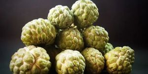 Fresh Custard Apple