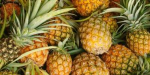 Fresh Pineapple