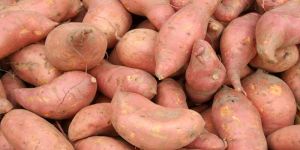 Fresh Sweet Potato