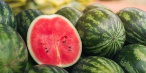 Fresh Watermelon