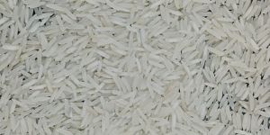 Pusa Basmati Rice