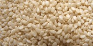 Sesame Seeds
