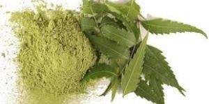 Neem Leaf Powder