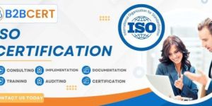 ISO Consultants