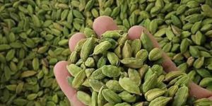 Green Cardamom