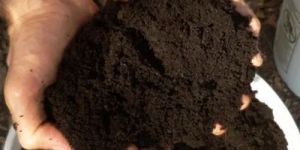 Vermicompost