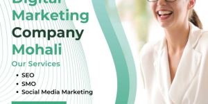 Digital Marketing Company Mohali