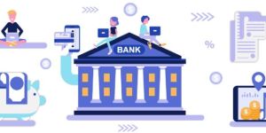 Nidhi Banking Software