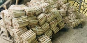 Wooden Striking Tool