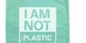 Biodegradable Bags