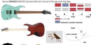 Ibanez RG421S SEM RG Standard Electric Guitar 6 Strings with Gig Bag