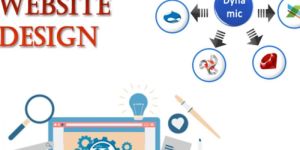 Dynamic Website Designing Service