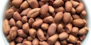 90/100 Bold Ground Nut Kernel