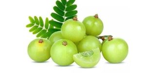 Fresh Amla
