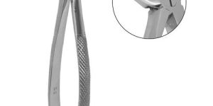 Molar Extraction Forceps for Clinical