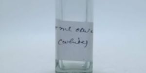 100ml Olive Oil Glass Bottle