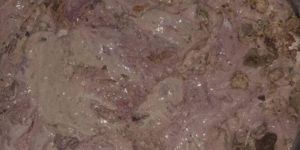 Tazaki Pure Asafoetida Paste