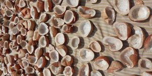 Dried Copra Coconut