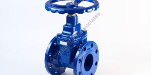 Gate Valve