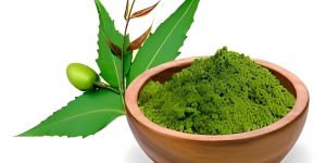 Organic Neem Leaf Powder