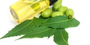 Organic Neem Oil
