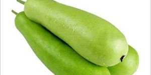 Fresh Bottle Gourd