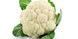 Fresh Cauliflower