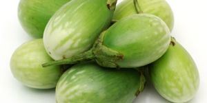 Fresh Green Brinjal