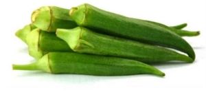 Fresh Okra