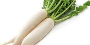 Fresh White Radish