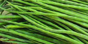 Green Fresh Drumstick