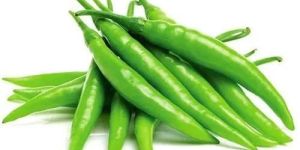 Natural Green Chilli