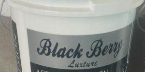 Blackberry Luxture Plastic Paint