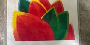 Wall Coat Cement Based Putty