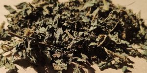 Dry Nettle Leaf