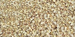 Split Coriander Seeds